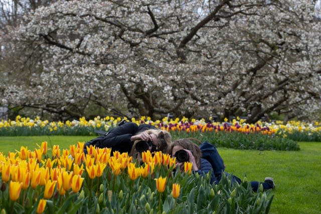 Two women take pictures as far fewer visitors than normal are seen at the world-famous Keukenhof garden in Lisse, Netherlands