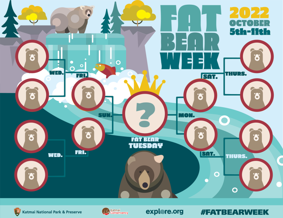 The 2022 Fat Bear Week Schedule (Katmai National Park and Preserve)