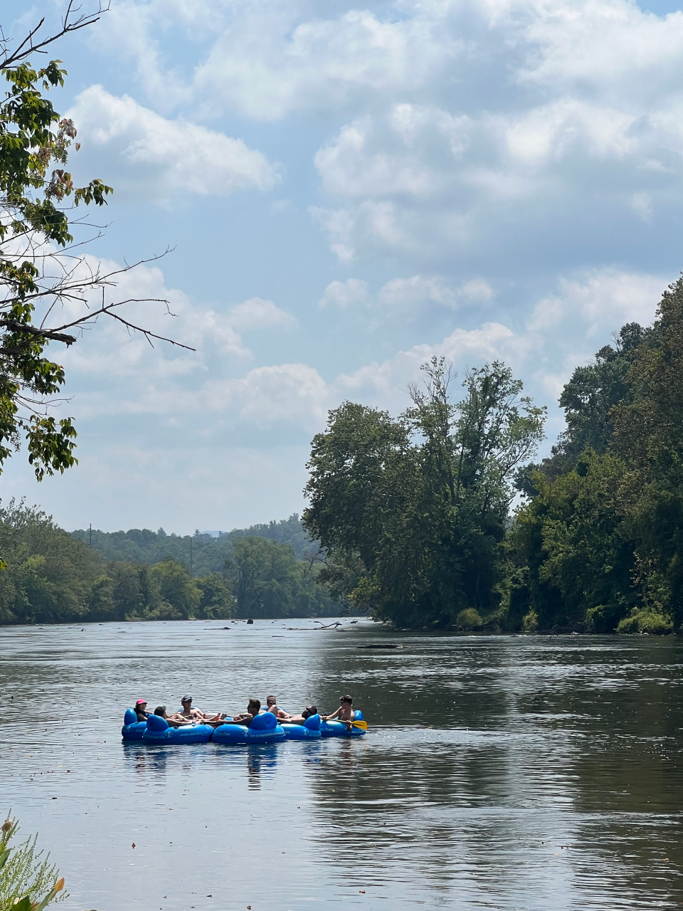 A flotilla of ZenTubing tubes floats down the French Broad River.