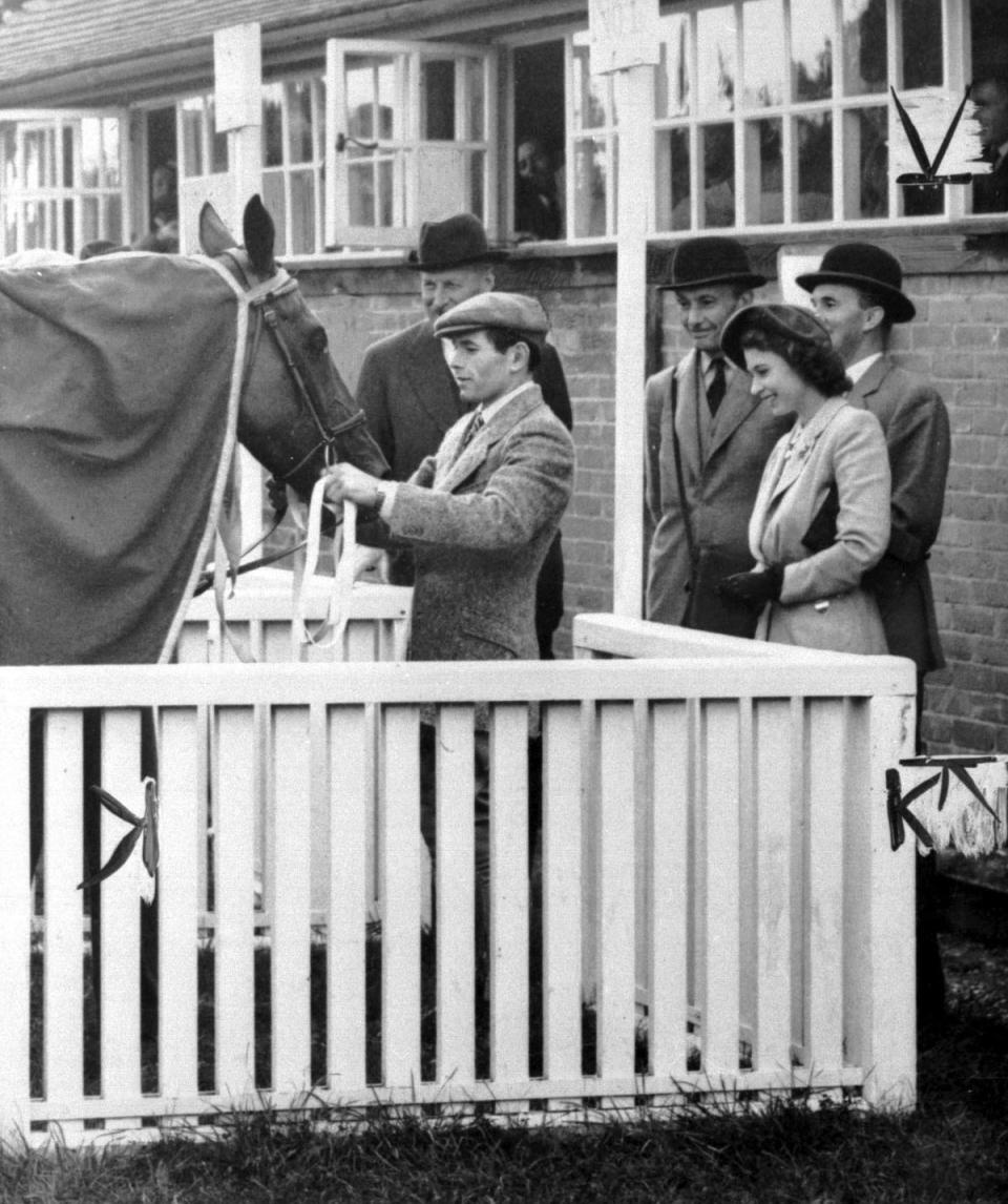 Princess Elizabeth inspects her first racehorse, Monaveen, after its victory at Fontwell Park in 1949 (PA)