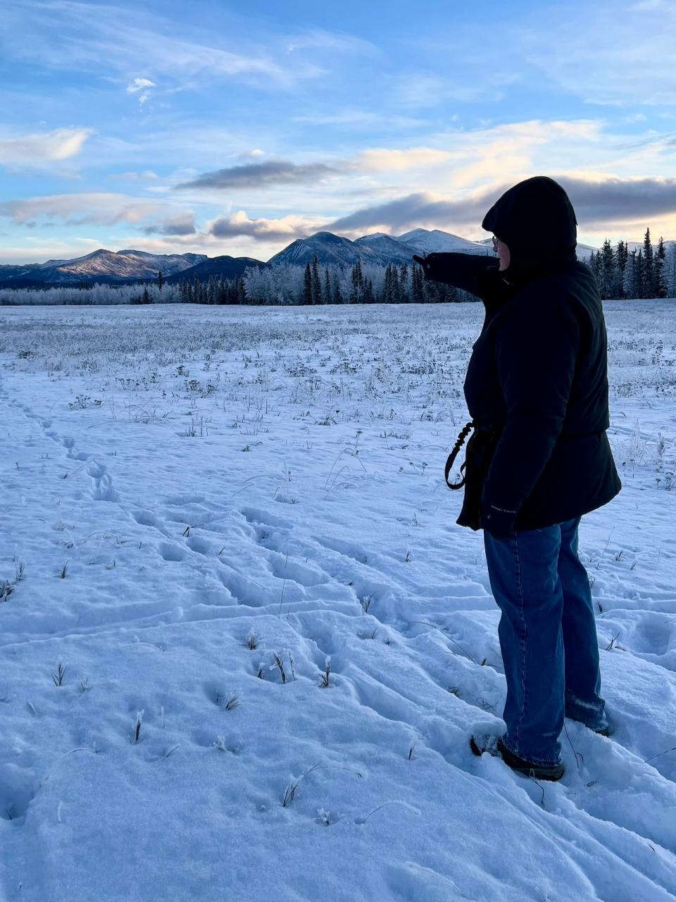 Aud Fischer points at the spot where she found Bolt's parents, Storm and Sundance, dead and "heavily scavenged upon" early last month. She suspects they were shot at the same time Bolt was. 