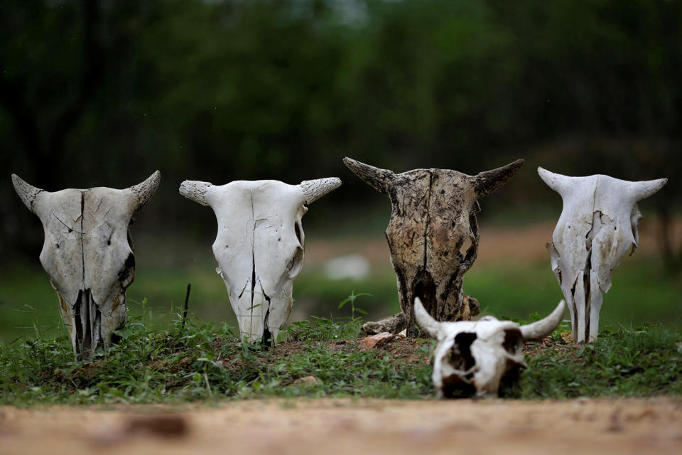 Brazil’s race to save drought-hit city