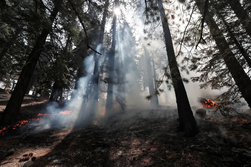 Ongoing Bobcat Fire in Los Angeles, California, U.S.