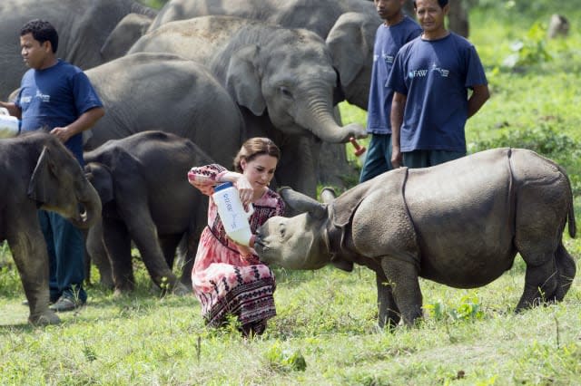 Kate Middleton and Prince William feed baby elephants and rhinos in India