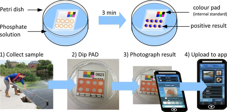 Schematic picture showing the steps of the RiverDip experiment.