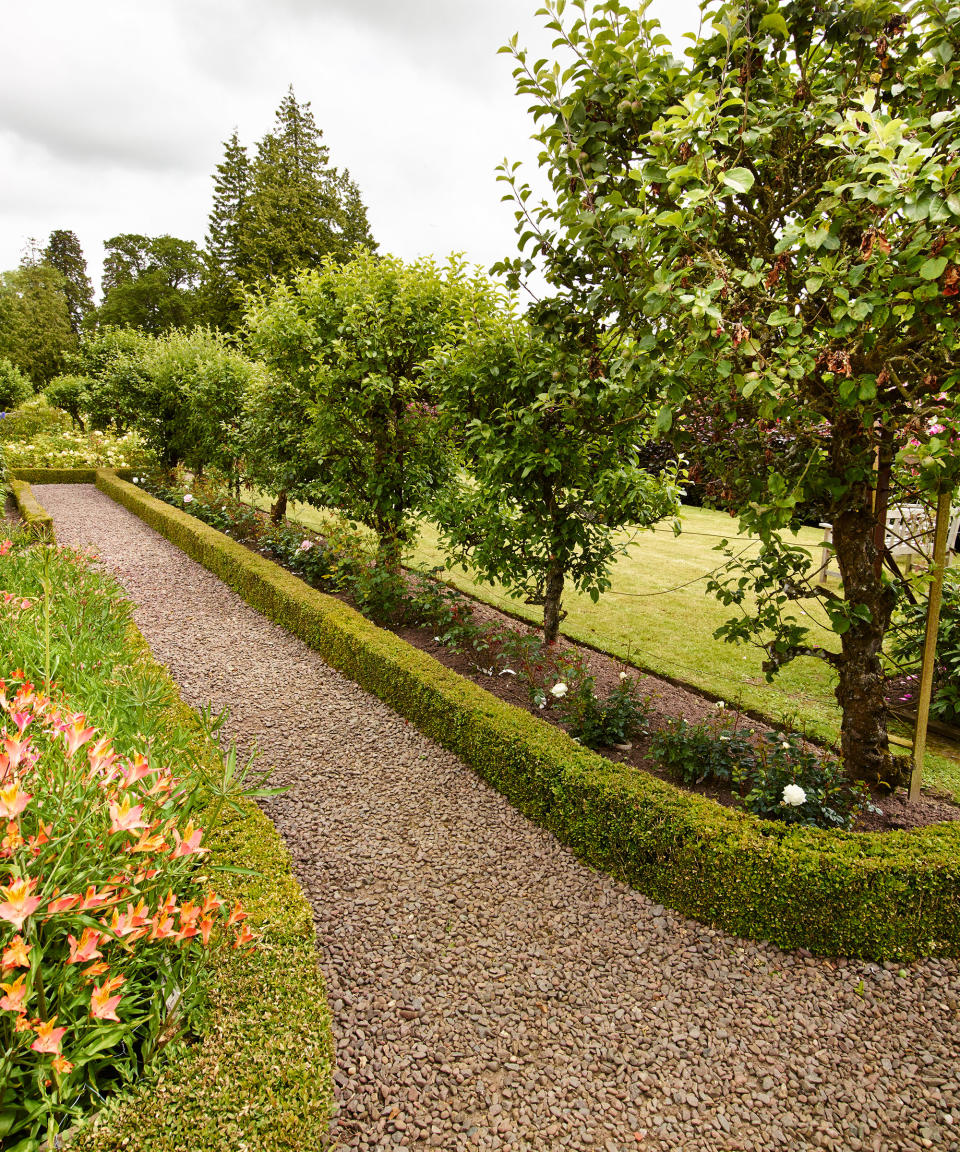 <p> Whether you opt for a classic brick design or oversized stepping stones, front yard walkway ideas are one of the most significant design elements of  your front yard landscaping ideas. </p> <p> 'To maximize usefulness and impact, the size of your entry walk matters. If you go too small, it’s more of a path while too wide means it may compete with your driveway,' says Cassi Hallam, expert at System Pavers.  </p> <p> 'Ideally, you’ll want an entry walk that’s between six and eight feet wide so two people can walk side-by-side comfortably. Vertical elements such as pilasters, trees or walls can enhance the entry walk look while better connecting it to your home’s architectural style. These can also be graceful tools to accommodate grade changes in your yard’s terrain.' </p>