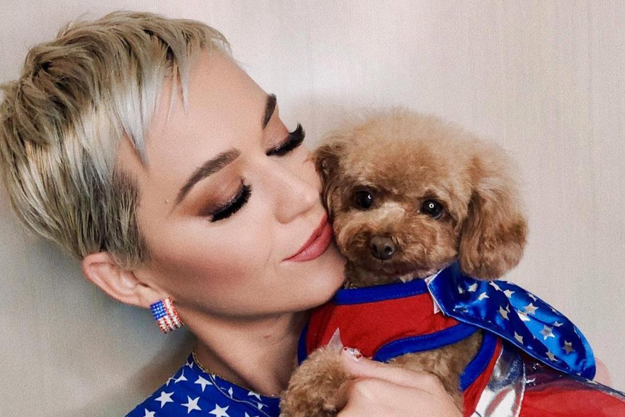 <p>Katy Perry says she and her dog Nugget have been on a vegan ‘journey’</p> (Katy Perry)