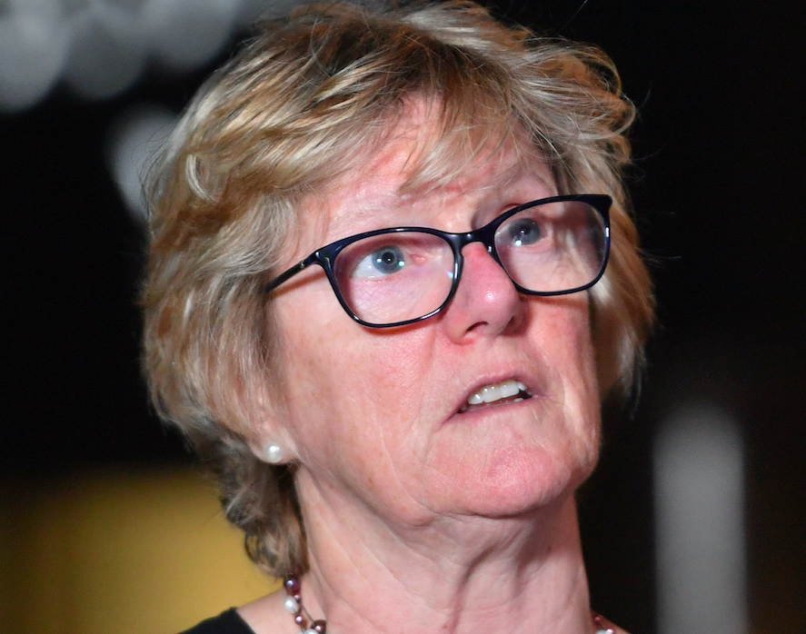Professor Dame Sally Davies said that people may die as a result of medical shortages (PA)