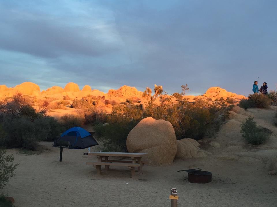 Sunrise reflects off the Pinto Mountains in the Jumbo Rocks Campground.