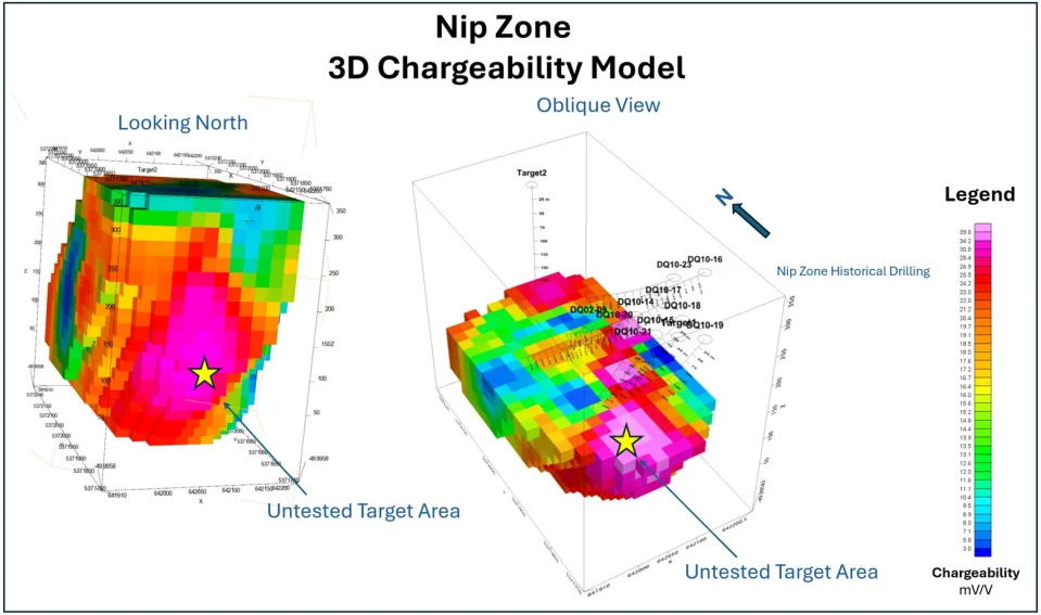 Figure 2: Hole to Hole Resistivity/IP Survey Model