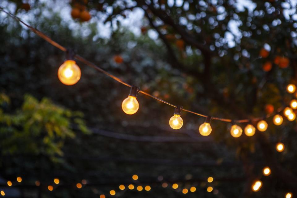 front shot of light bulbs hanging from cable against back yard during night