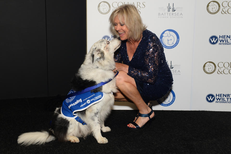 LONDON, ENGLAND - NOVEMBER 12: Sue Barker attends the Battersea Dogs & Cats Home Collars and Coats Gala Ball at Battersea Evolution on November 12, 2015 in London, England. (Photo by David M. Benett/Dave Benett/Getty Images)