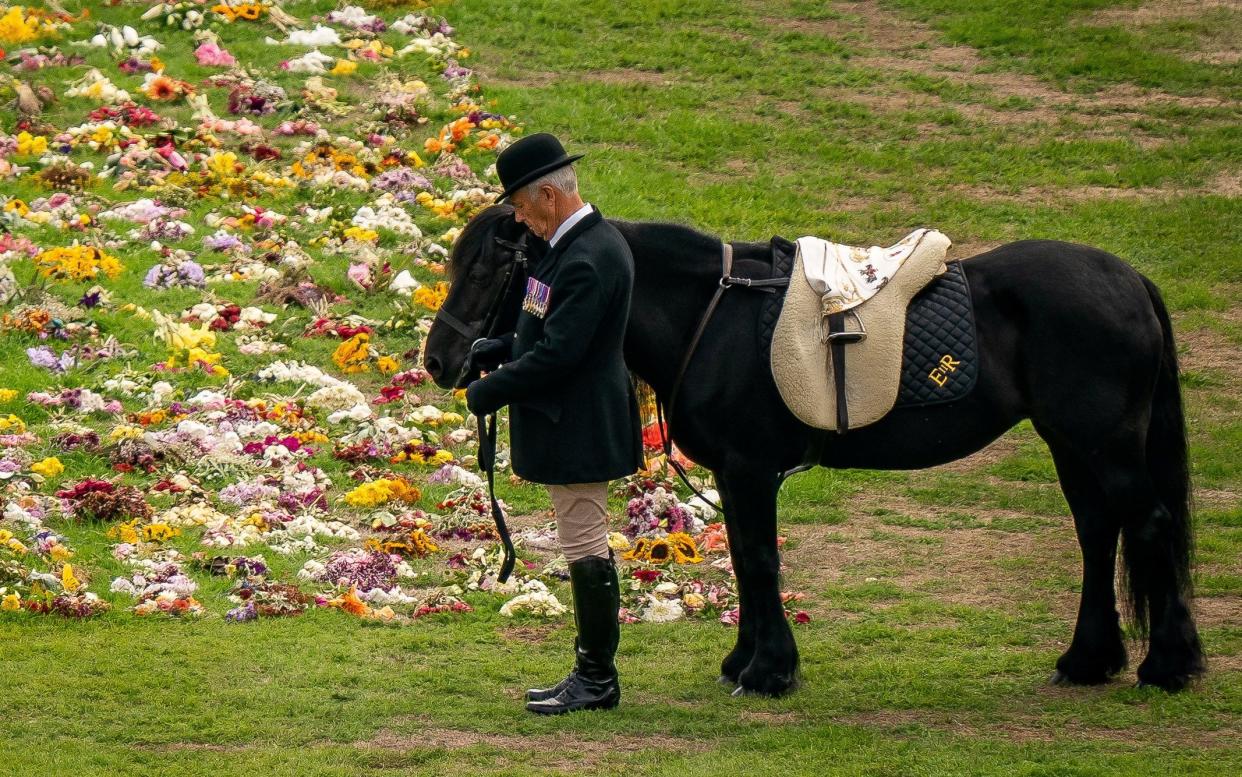 The Queen's pony, Emma, with Pendry at the Queen's funeral