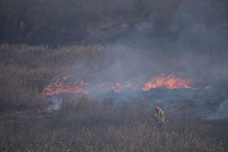 Brigadistas luchan contra los incendios