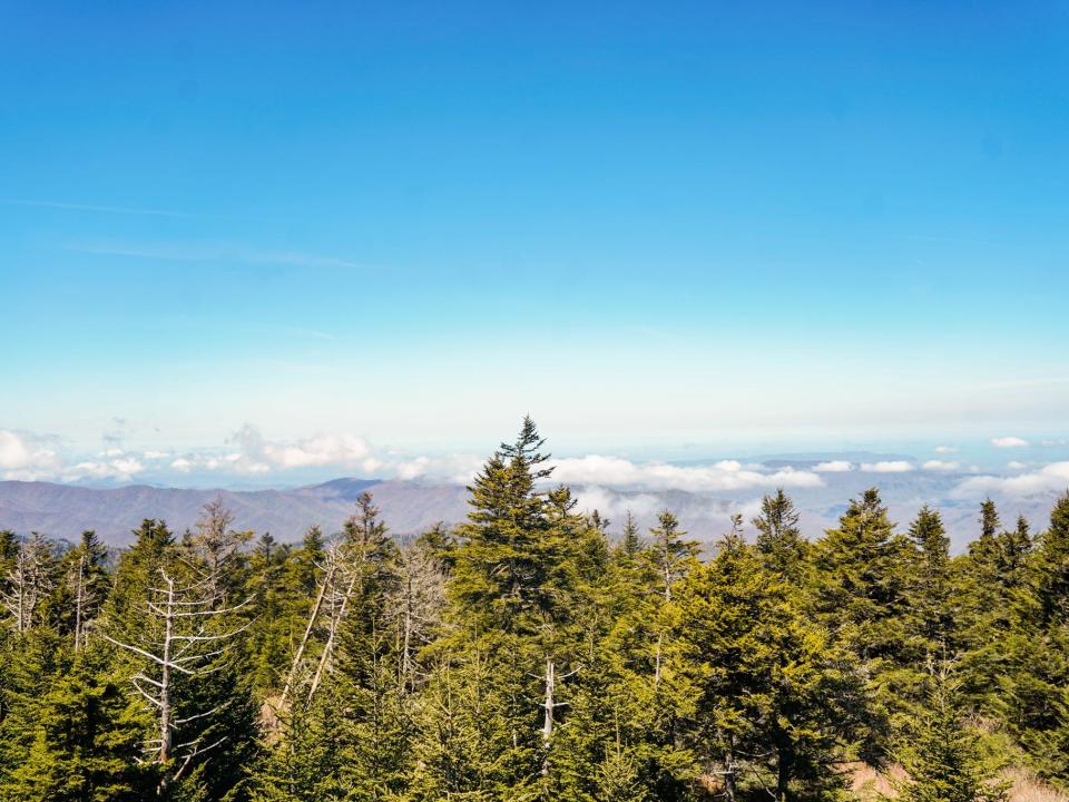 Great Smoky Mountains National park seen from the trail to Clingman's Dome.