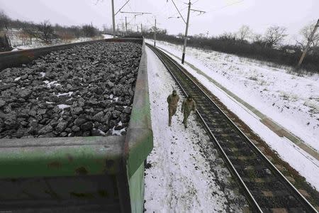 FILE PHOTO: Activists walk along carriages loaded with coal from the occupied territories which they blocked at Kryvyi Torets station in the village of Shcherbivka in Donetsk region, Ukraine, February 14, 2017. REUTERS/Konstantin Chernichkin/File Photo