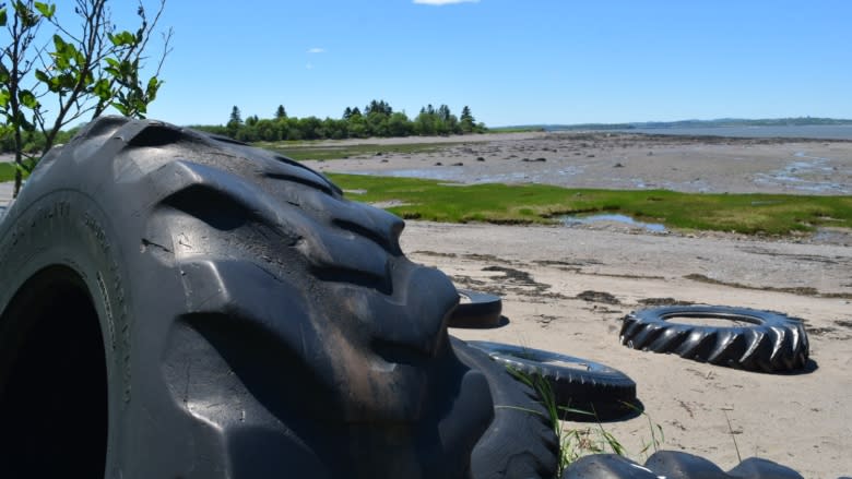 Tire graveyard: how one group's attempt to save the land resulted in a rubber-filled burial ground