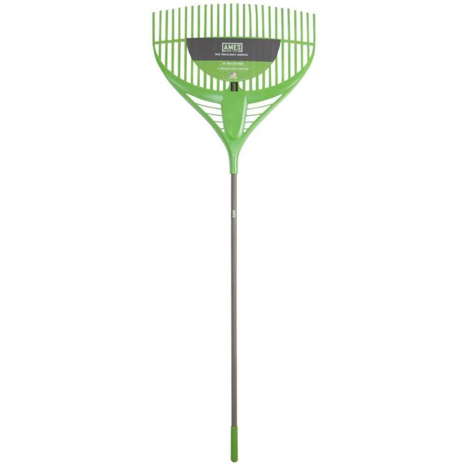 <p><a href="https://go.redirectingat.com?id=74968X1596630&url=https%3A%2F%2Fwww.homedepot.com%2Fp%2FAmes-Collector-Series-26-in-Poly-Leaf-Rake-2915800%2F204476247&sref=https%3A%2F%2Fwww.popularmechanics.com%2Fhome%2Flawn-garden%2Fg37680364%2Fbest-leaf-rakes%2F" rel="nofollow noopener" target="_blank" data-ylk="slk:Shop Now;elm:context_link;itc:0;sec:content-canvas" class="link ">Shop Now</a></p><p>Poly Leaf Rake</p><p>$15.98</p><p>homedepot.com</p>