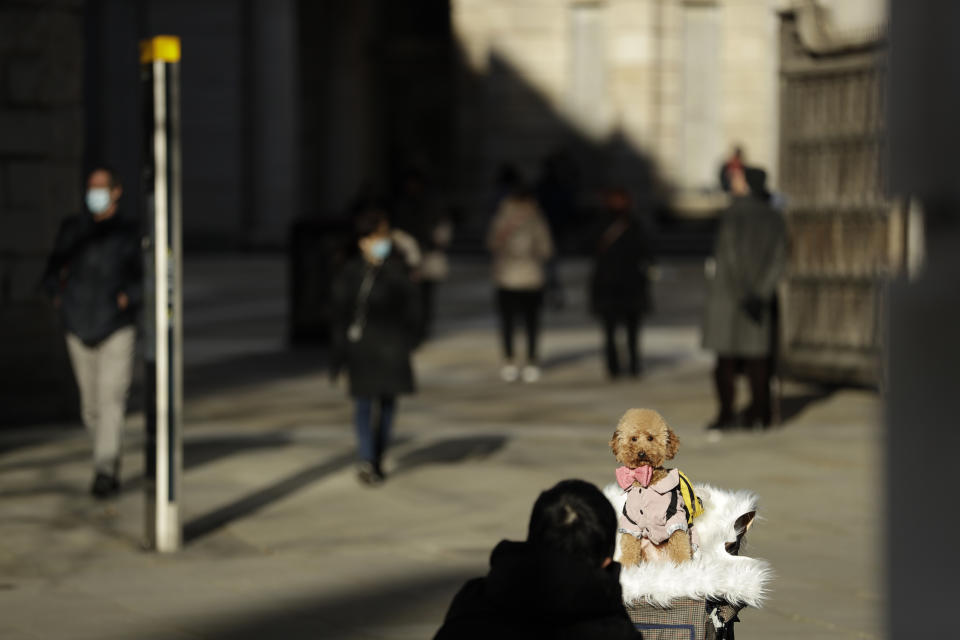 A person photographs their dog near St Paul's Cathedral in the City of London financial district of London, Friday, Jan. 22, 2021, during England's third national lockdown since the coronavirus outbreak began. The U.K. is under an indefinite national lockdown to curb the spread of the new variant, with nonessential shops, gyms and hairdressers closed, most people working from home and schools largely offering remote learning. (AP Photo/Matt Dunham)