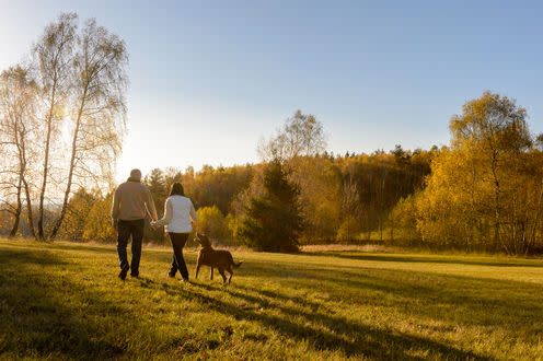 <span class="caption">The autumn years are getting later.</span> <span class="attribution"><a class="link " href="https://www.shutterstock.com/image-photo/couple-walk-retriever-dog-autumn-sunset-218805247?src=0pj5X5G5my3AFXh-enMfSQ-3-55" rel="nofollow noopener" target="_blank" data-ylk="slk:Shutterstock;elm:context_link;itc:0;sec:content-canvas">Shutterstock</a></span>