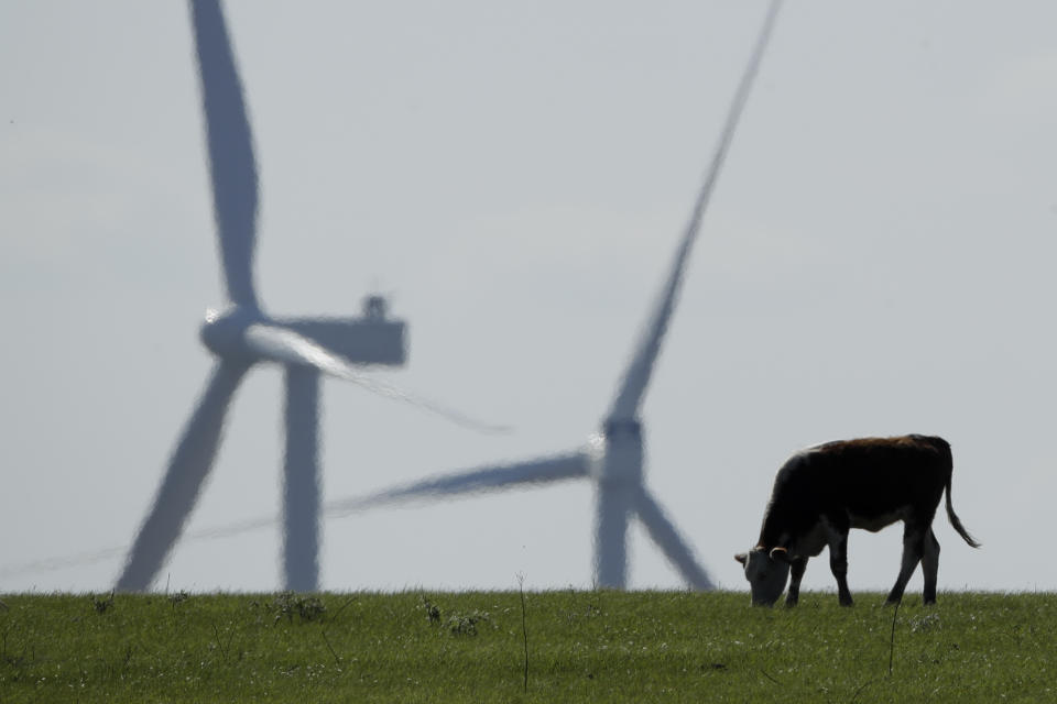 FILE - A cow grazes in a pasture as wind turbines rise in the distance Monday, April 27, 2020, near Reading, Kan. A new study released on Wednesday, April 13, 2022, finds that if the nations of the world live up to their promises, future climate climate change can be limited to the weaker of two international goals. According to a study, the world is potentially on track to keep global warming at or a shade below 2 degrees Celsius (3.6 degrees Fahrenheit) hotter than pre-industrial times, a goal that once seemed out of reach (AP Photo/Charlie Riedel)