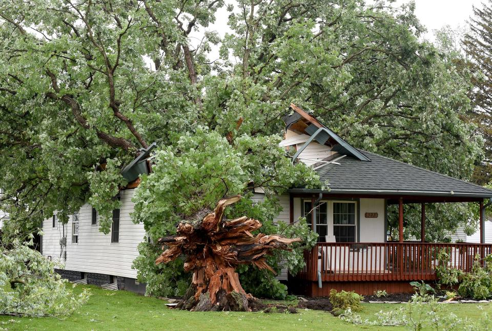 A large oak tree fell onto this home on South Grove Street in Grand Beach, Frenchtown Township, due to a possible tornado Thursday evening.