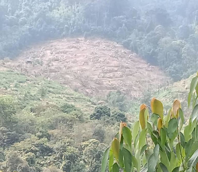 Chang expressed disappointment towards JPNP’s actions, claiming the nine-day operation had managed to destroy trees planted and nurtured by these farmers for more than 20 years across the affected 250-acres of land. — Picture courtesy of Samka