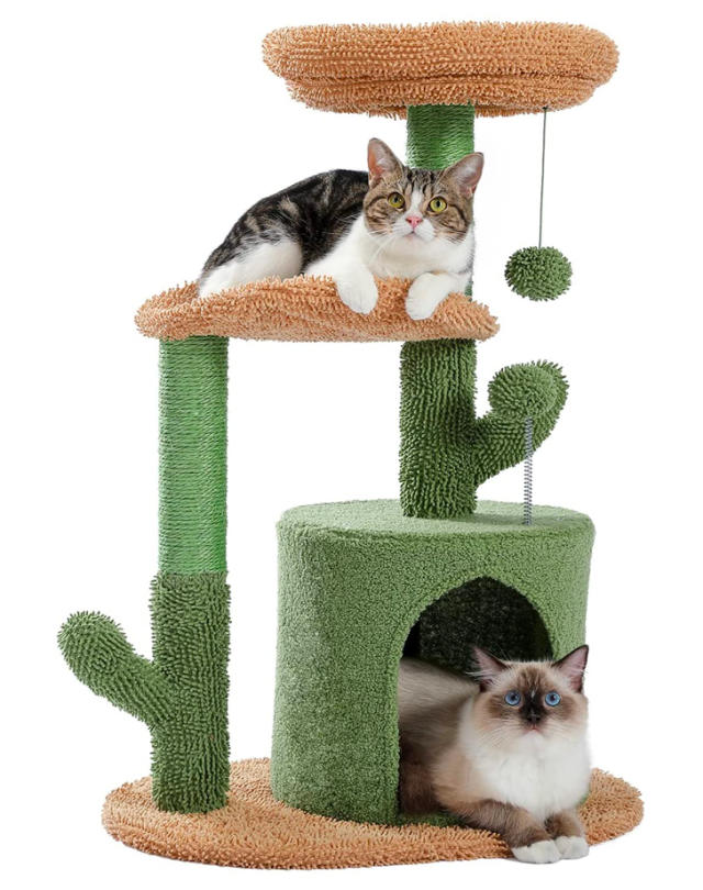 Goodbye Cat Condo II