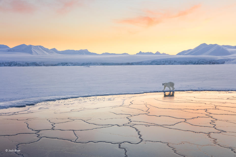 Tierra de nieve y hielo – Josh Anon, Estados Unidos