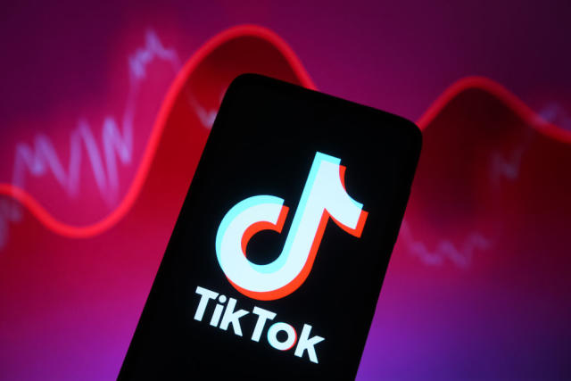 US House easily passes TikTok ban bill as eyes turn to Senate