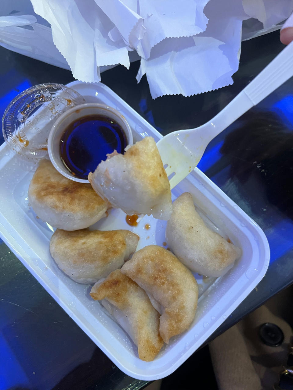 Pan Fried Dumplings from Lilli and Loo in NYC