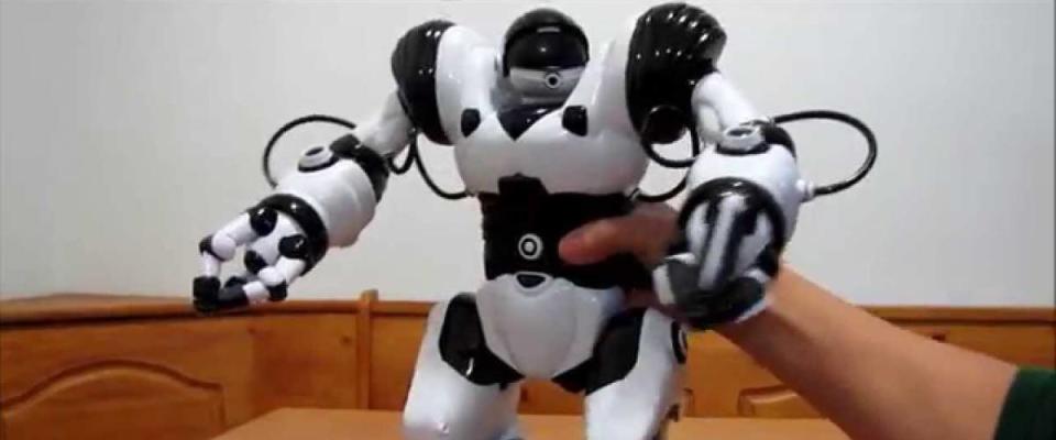 Hand holding a Robosapien toy robot