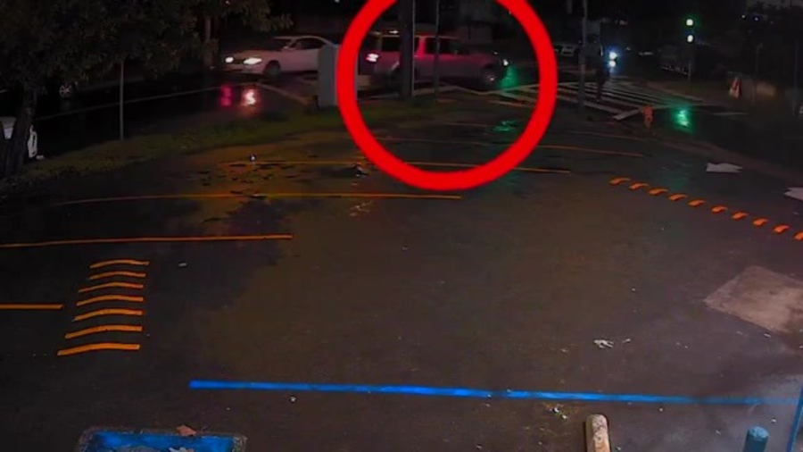 New video posted by the LAPD shows a hit-and-run crash that took place on Jan. 22, 2024. (LAPD)