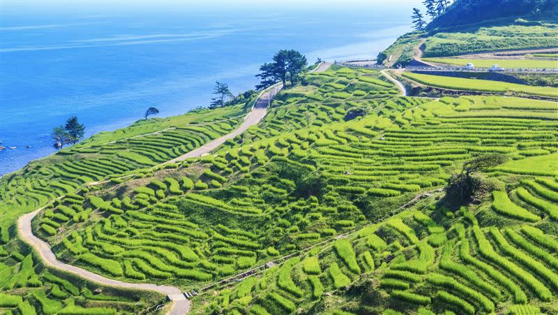 石川縣依山傍海，跟台灣宜蘭、花東地區有相似之處。（圖／翻攝自日本觀光局網站）