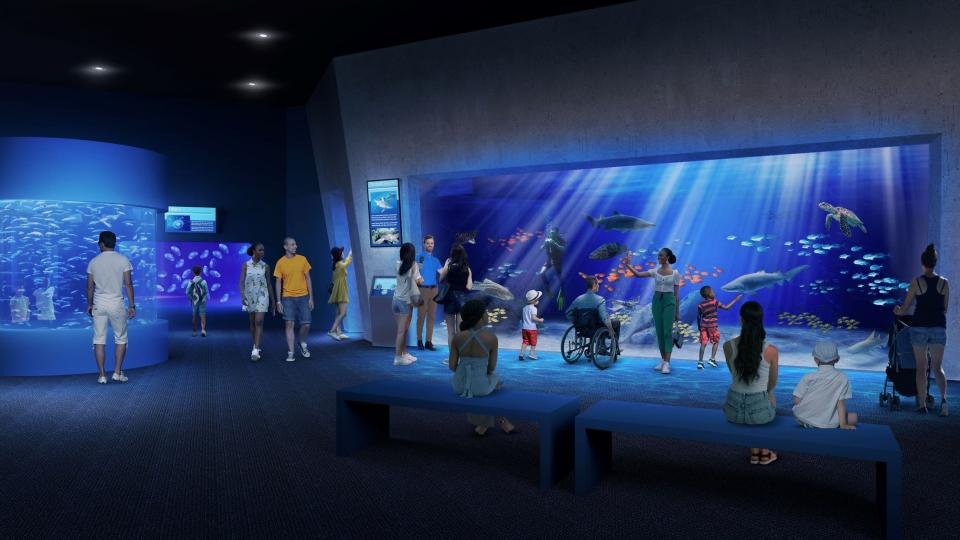 The new Cox Science Center and Aquarium will feature a 200,000-gallon aquarium, as shown in this rendering.