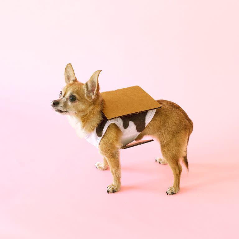 S'mores Dog Costume