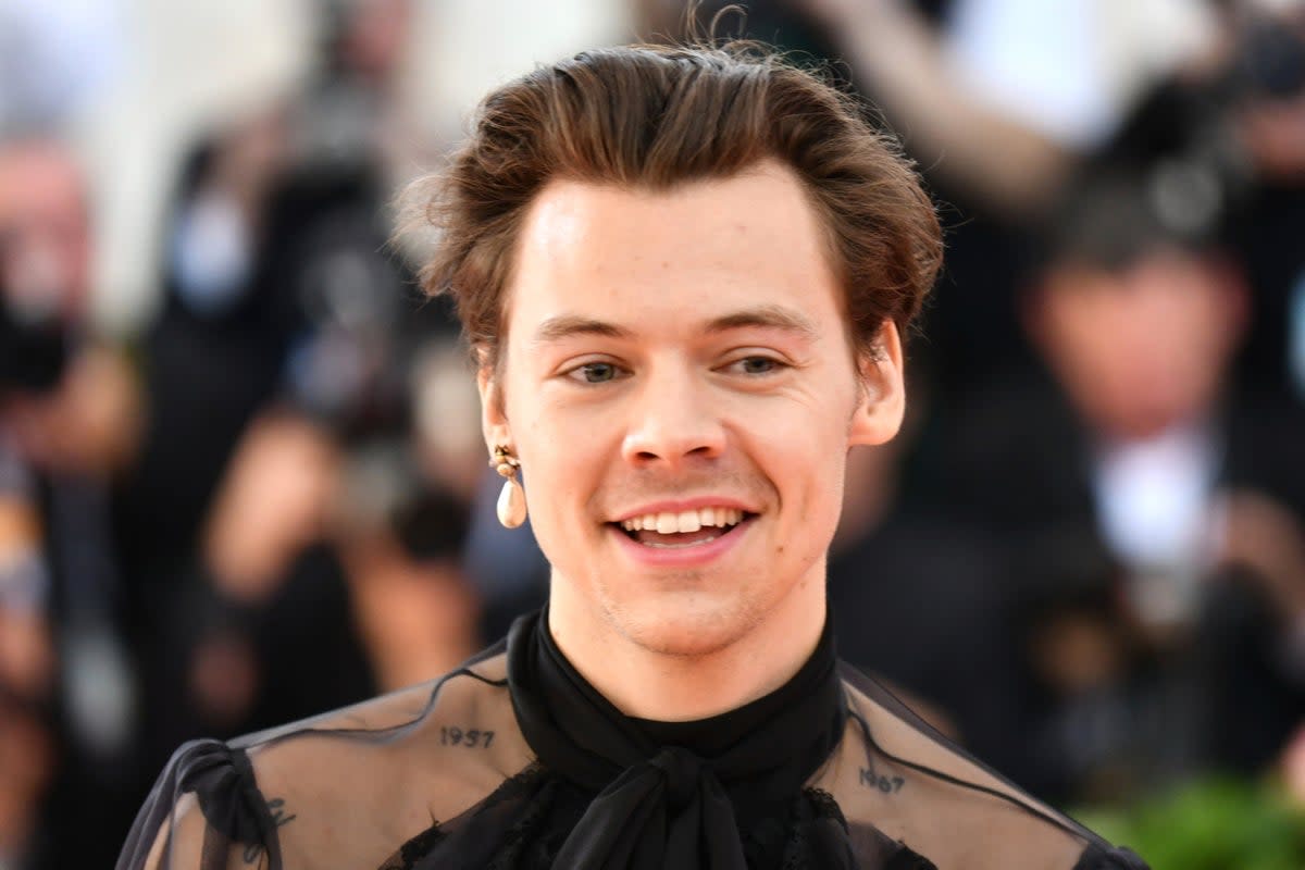 Boy with the pearl earring: Harry Styles wore a single dangler at the Met Gala (Charles Sykes/Invision/AP)