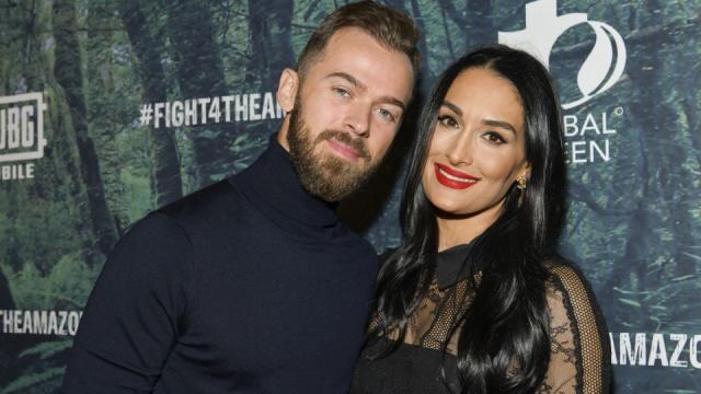 Nikki Bella files for divorce two weeks after Artem Chigvintsev was  arrested on suspicion of domestic violence