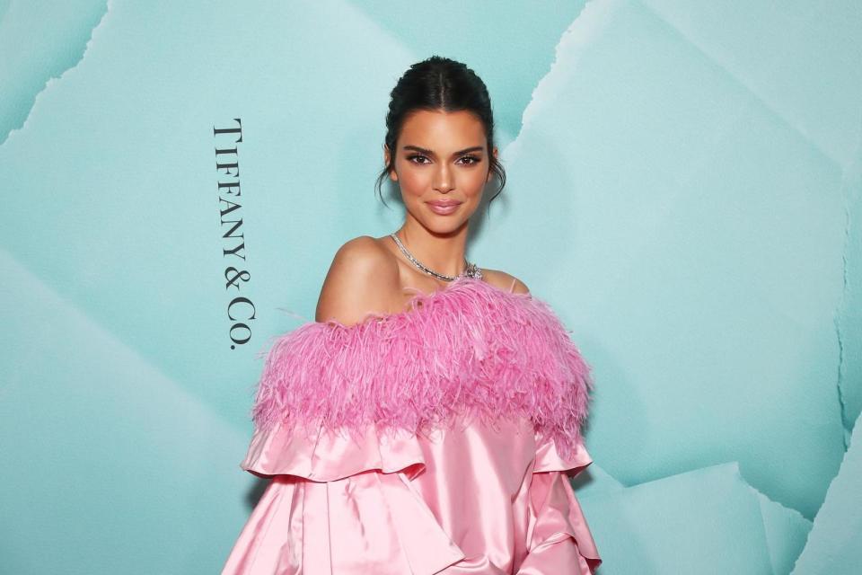 North West and Kendall Jenner appear to share the same $1,300 feathered Prada top