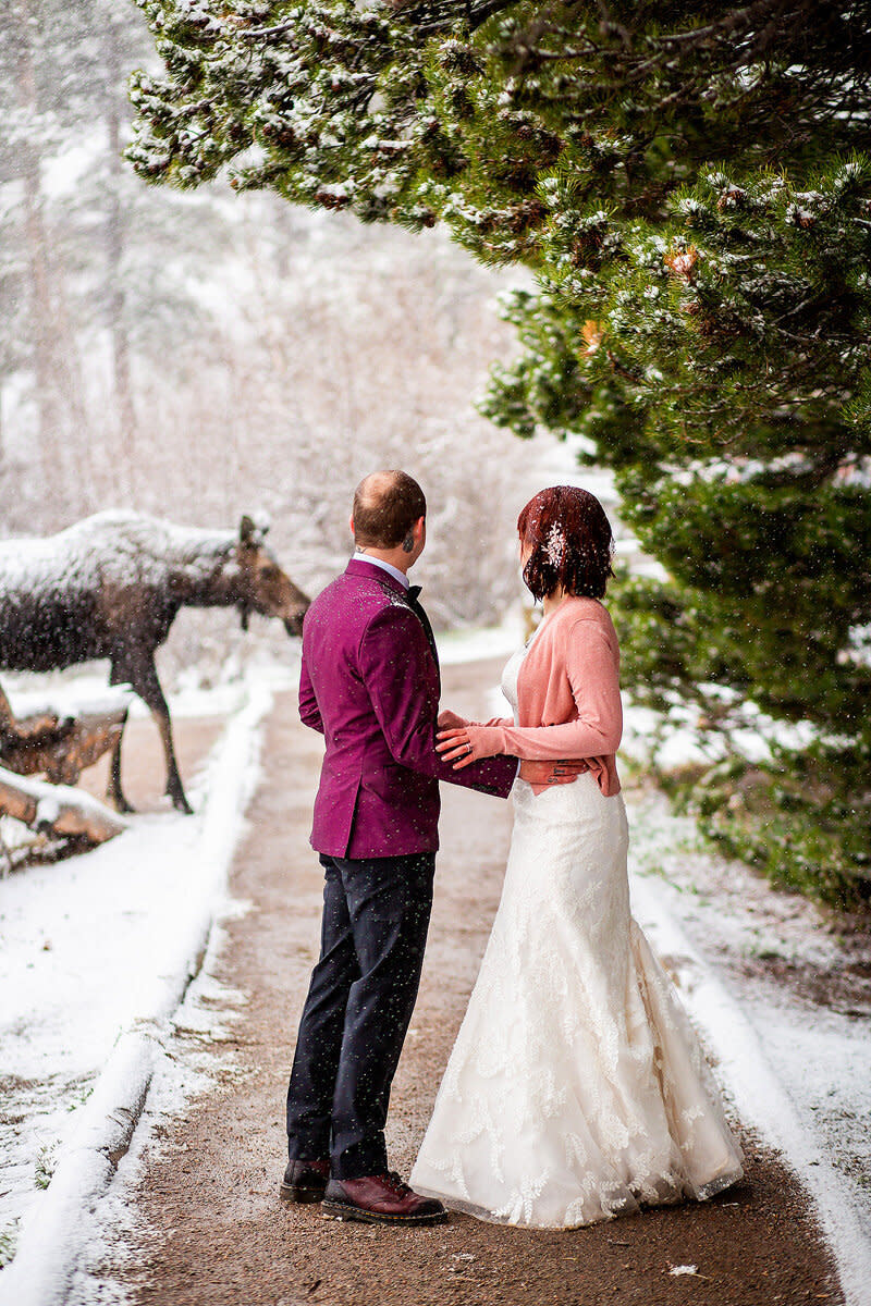 The moose was about 15 feet away from the couple on the walking trail. (Photo: <a href="https://www.sarahgoffphotography.com/" target="_blank">Sarah Goff Photography</a>)
