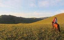 <p>Fly half-way across the world to experience the best horseback riding and glamping in Mongolia.</p>