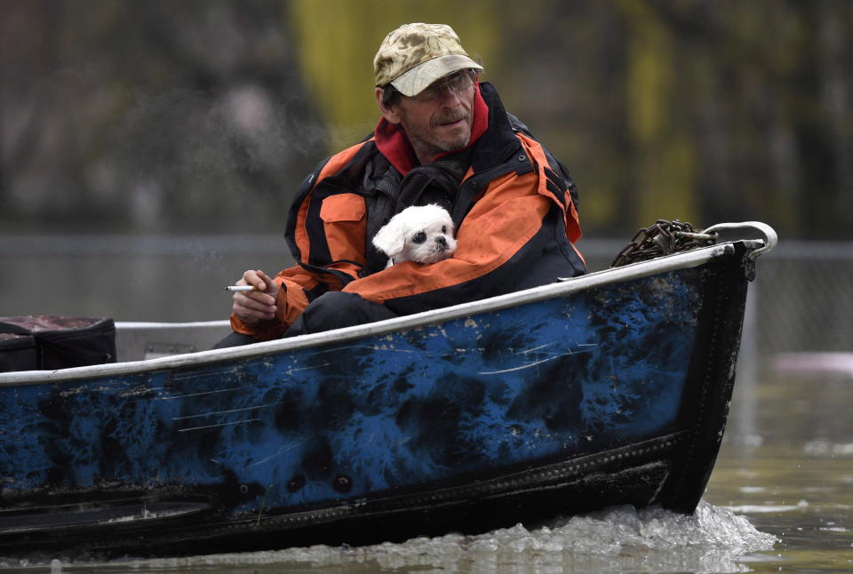 A man holds a dog as they navigate floodwaters by boat on Rue Saint-Louis in Gatineau, Que. on May 6. (The Canadian Press)