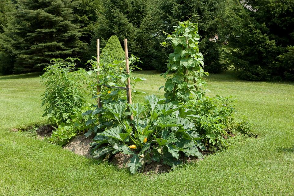 A 10-by-12-foot garden will provide veggies all summer long.