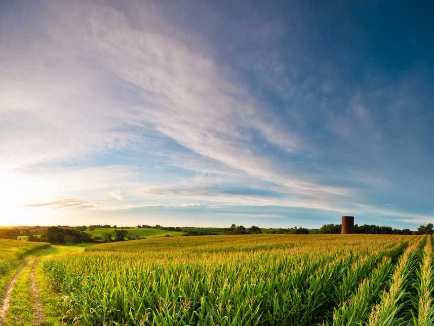 Iowa cornfield farm