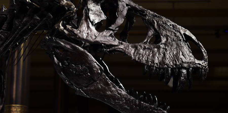 Scientists Just Found a New Clue About the Asteroid That Killed the Dinosaurs