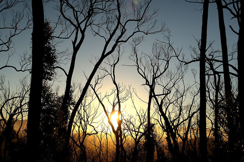 On the one year anniversay of "Black Saturday", Australia's worst ever bushfires and worst peace-time disaster, on February 7, 2010 in Marysville, Australia. The fires, of which there were onver 400 recorded, resulted in 173 confirmed deaths, and over 2000 homes destroyed, with entire towns badly damaged and some almost completely destroyed. Source: Getty