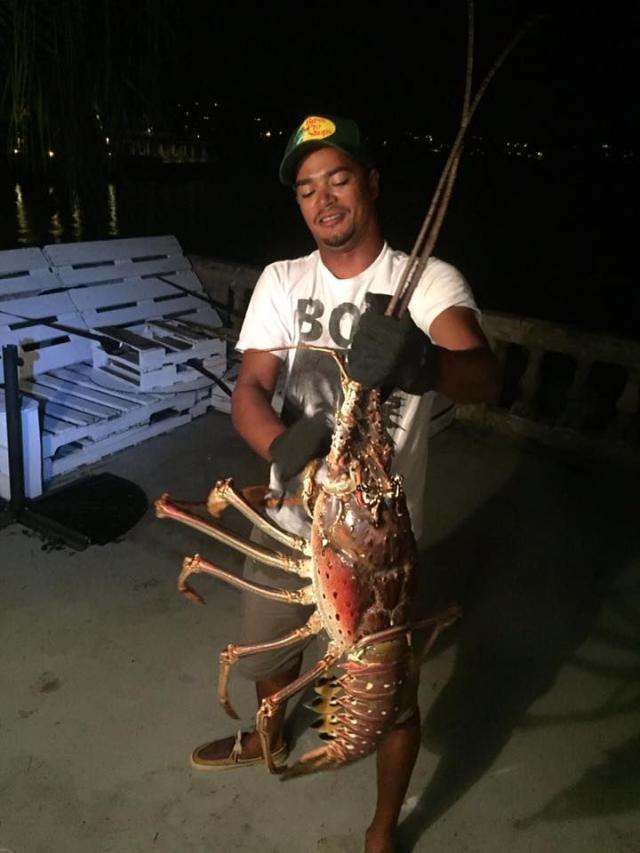 giant lobster monster