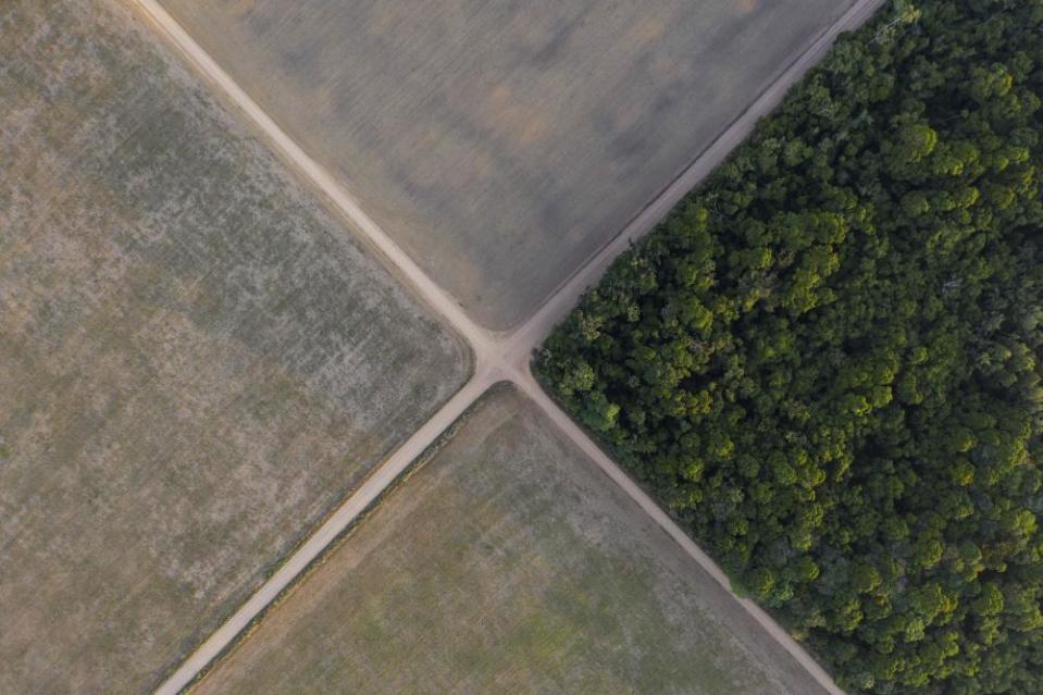 FILE - In this Nov. 30, 2019 file photo, a section of Amazon rainforest stands next to soy fields in Belterra, Para state, Brazil. A decade-long effort by the world to save the world’s disappearing species and declining ecosystems has mostly failed so far, with fragile ecosystems like coral reefs and tropical forests in even more trouble than ever, according to a United Nations biodiversity report released on Tuesday, Sept. 15, 2020. (AP Photo/Leo Correa)