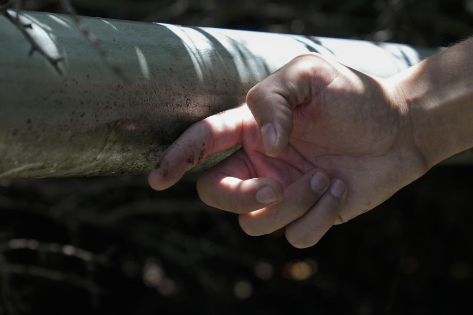 Activist Bridger Zadina touches condensation on a BlueTriton water pipe in the San Bernardino National Forest on Monday, Sept. 18, 2023, in San Bernardino, Calif. The State Water Resources Control Board is expected to vote Tuesday on whether to issue a cease-and-desist order against BlueTriton, the company that produces the widely-known Arrowhead brand of bottled water. The order would prevent BlueTriton from drawing water from certain points in the San Bernardino National Forest. (AP Photo/Ashley Landis)