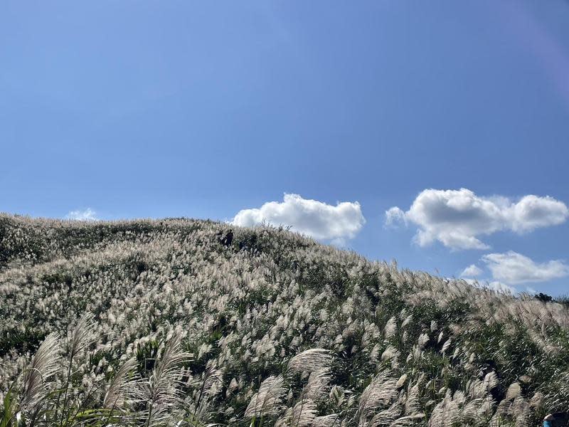 秋冬之際正適合上山，安排一趟健行之旅。（晶泉丰旅提供）